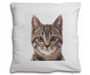 Click to see all products with this Brown Tabby cat.