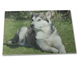 Click to see all products with this Alaskan Malamute