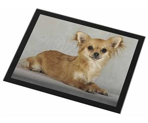 Click to see all products with this Chihuahua