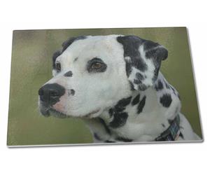 Click to see all products with this Dalmatian