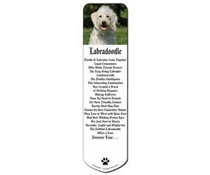Click image to see all products with this White Labradoodle.