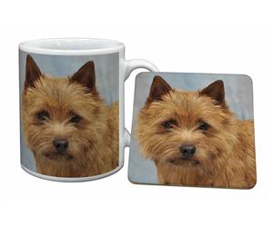 Click image to see all products with this Norfolk Terrier.