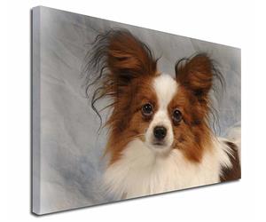 Click image to see all products with this Papillon