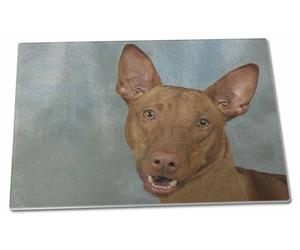 Click image to see all products with this Pharaoh Hound