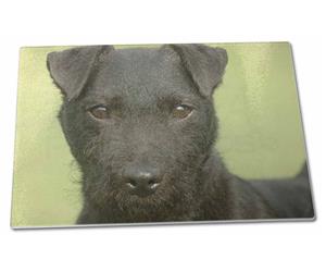 Click image to see all products with this Patterdale Terrier.