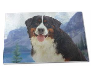Click Image to See the Different Bernese Dogs & All the Different Products Available