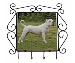 Click to see all products with this American Staffordshire Bull Terrier