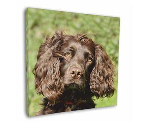 Click to see all products with this Chocolate Cocker Spaniel