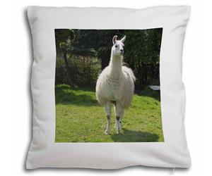 Click to see all products with this Llama.