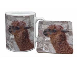 Click to see all products with this Llama.