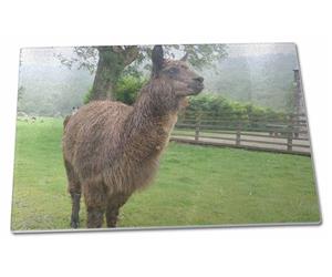 Click to see all products with this Llama.