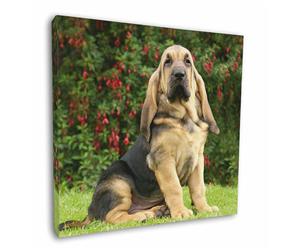 Click Image to See All the Different Products Available with this Bloodhound