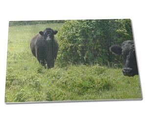 Click to see all products with this Black Bullock