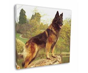Click Image to See the Different Belgian Shepherd Dogs & All the Different Products Available