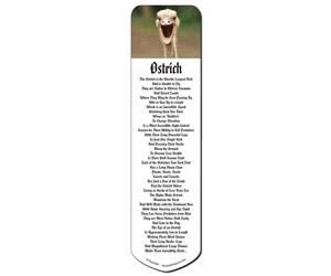 Click image to see all products with this Ostrich.