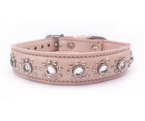 Click image to see all Beige Leather Pet Collars.