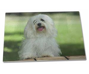 Click to see all products with this Havanese.