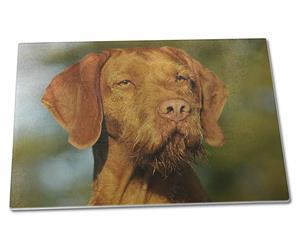 Click to see all products with this Hungarian Wirehaired Vizsla.