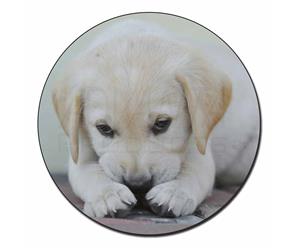 Click image to see all products with this Cream Labrador Puppy