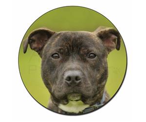 Click image to see all products with this Staffordshire Bull Terrier.