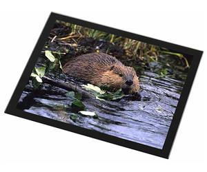 Click Image to See All the Different Beaver Products in this Section