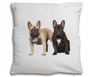 Click Image to See the Different French Bulldogs & All the Different Products Available