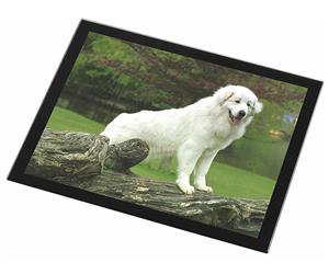 Click Image to See All the Different Products Available with this Pyrenean