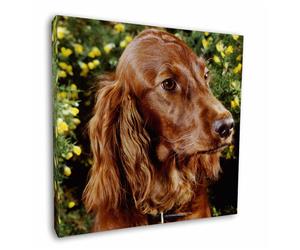 Click Image to See the Different Irish Setter Dogs & All Different Products Available