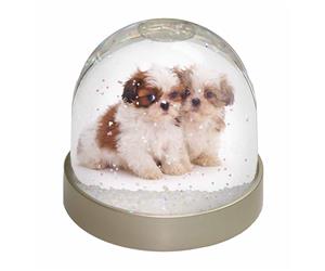 Click Image to See the Different Shih-Tzu Dogs & All Different Products Available