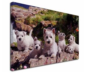 Click Image to See All the Many Different Westies & All the Different Products Available
