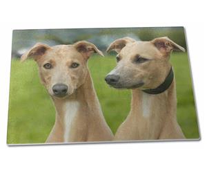 Click Image to See the Different Whippet Dogs & All the Different Products Available