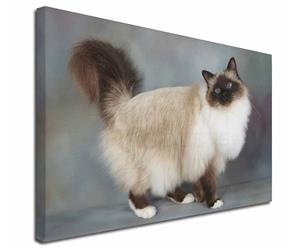 Click Image to See Many Stunning Birmans and All 680 Different Products in this Section
