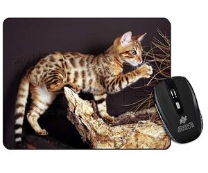 Click Image to See All Bengal Cats and Kittens in this Section