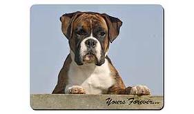 Boxer Dog "Yours Forever..."