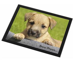 Border Terrier Puppy "Yours Forever..."