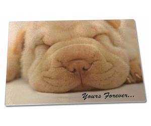 Shar-Pei Puppy "Yours Forever..."