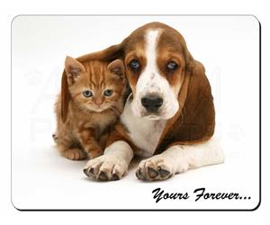 Basset Hound and Cat with Sentiment