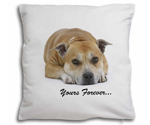 Staff Bull Terrier Dog Sentiment