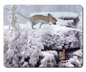 Snow Mouse