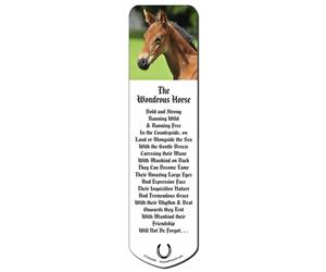 Click to see all products with this Foal.