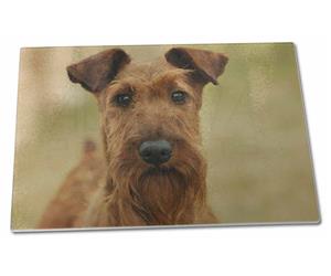 Irish Terrier Dog