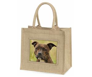 Staffordshire Bull Terrier Dog