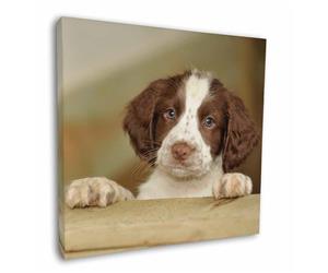 Springer Spaniel Puppy Dog