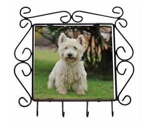 West Highland Terrier Dog