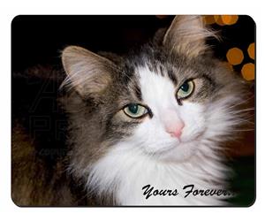 Tabby Cat with sentiment "Yours Forever..."