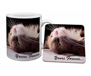 Cat in Ecstacy with Sentiment "Yours Forever..."