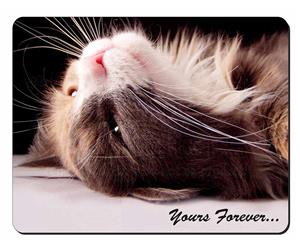 Cat in Ecstacy with Sentiment "Yours Forever..."