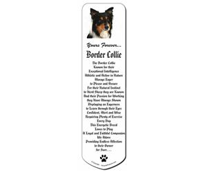 Tri-colour Border Collie Dog "Yours Forever..."