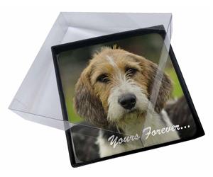 Welsh Fox Terrier Dog "Yours Forever..."