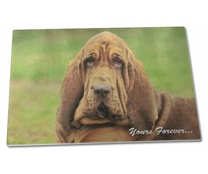 Basset Hound Dog "Yours Forever..."